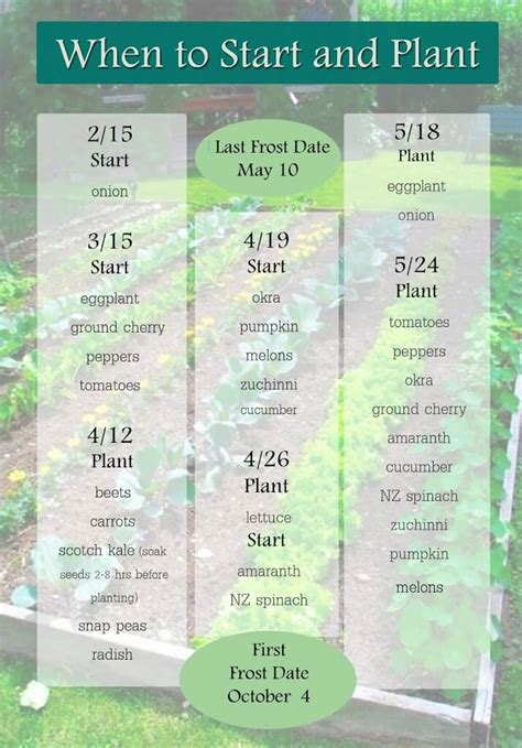 When to Start and Plant Zone 5 - The Herbal Spoon