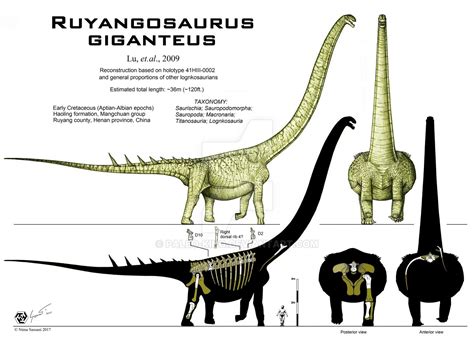 Ruyangosaurus giganteus - forgotten giant # ??? by Paleo-King on DeviantArt