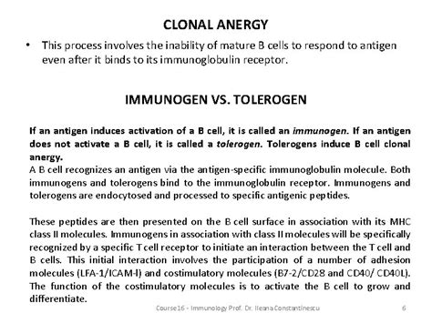 Course 16 Autoimmunity B cell tolerance Clonal detection