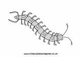 Centipede Coloring Millipede Pages Insect Color Clipart Creepy  sketch template