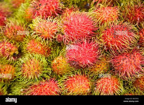 Rambutan, Central Market, Kuala Lumpur, Malaysia Stock Photo - Alamy