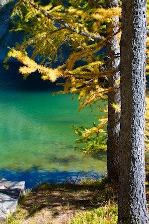 Lake Agnes Teahouse Hike | Get Inspired Everyday!