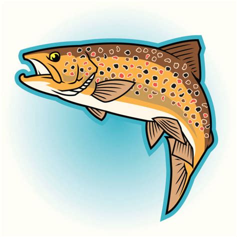 Brook Trout Illustrations, Royalty-Free Vector Graphics & Clip Art - iStock