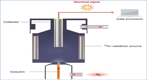 Gas Chromatography Detector (Type of GC Detectors) - PharmaSciences