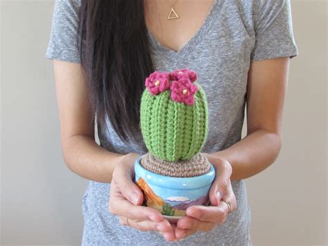 Crochet Cactus | Crochet cactus, Crochet cactus free pattern, Diy crochet cactus