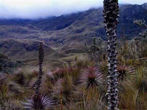 Cajas National Park Ecuador