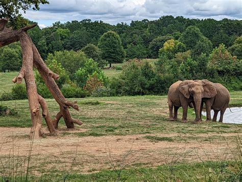 North Carolina Zoo : r/NorthCarolina