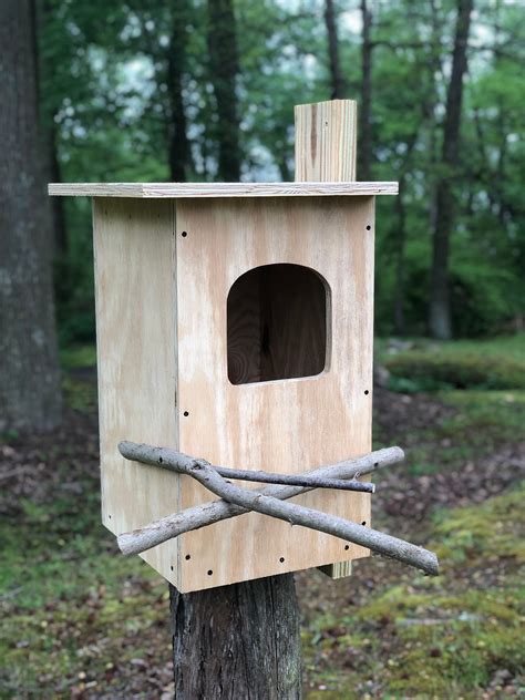 Pine Barred Owl Nest Box Custom Options Available | Etsy