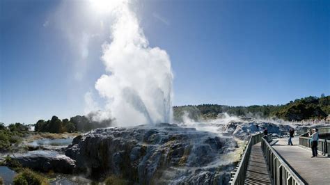 Whakarewarewa Valley Top Tours and Tips | experitour.com