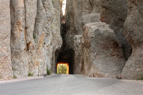 Black Hills Scenic Drives: Needles Highway, the Wildlife Loop, U.S. 14 ...