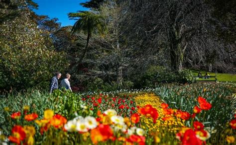 Wellington Botanic Garden trails - WellingtonNZ