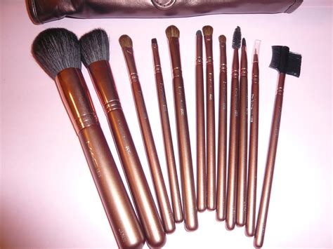 Beauty Express : 12-piece MAC brush set (brown)