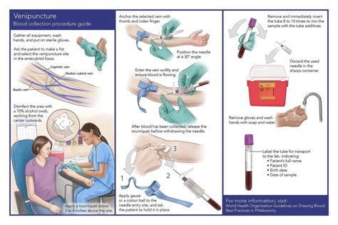 Phlebotomy Procedure Step By Step - E Phlebotomy Training