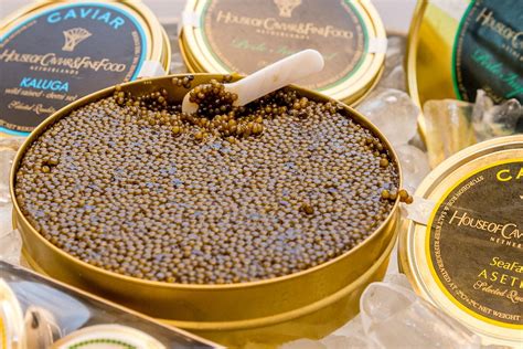 Kaluga Caviar | Local Caviar From China