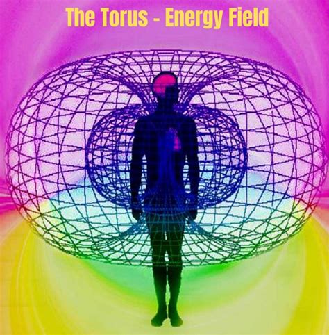 The Torus Energy Field