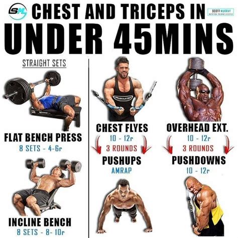 Chest And Tricep Workout, Lower Workout, Biceps Workout, Chest Workouts, Shoulder Workout ...