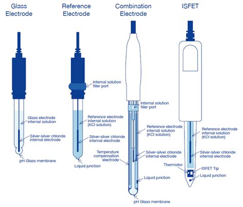 Detector (Reference electrode, Temperature-compensation electrode ...