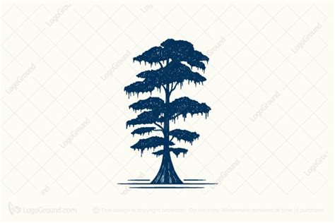 Cypress Tree Logo