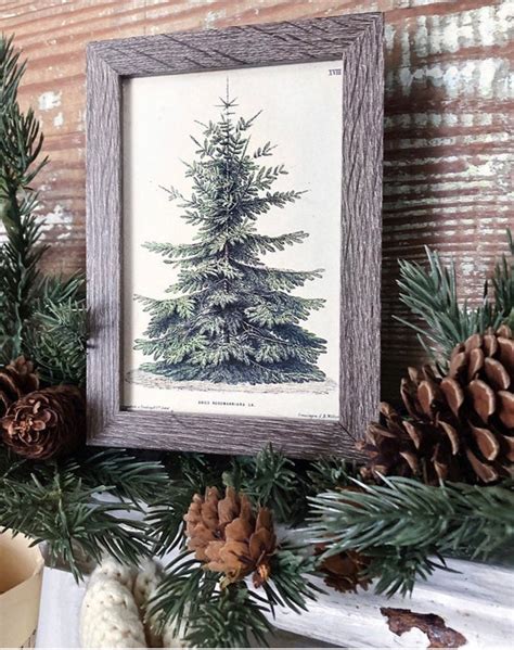 Vintage Christmas Tree Sign PINE TREE Frame Farmhouse - Etsy