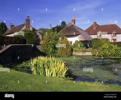 Country village green and pond with thatched flintstone cottages in South Downs National Park ...