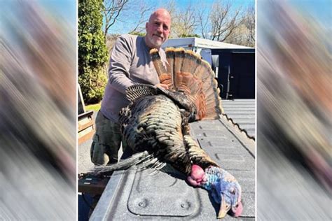 Wisconsin hunter bags 8-bearded Buffalo County gobbler - Outdoor News