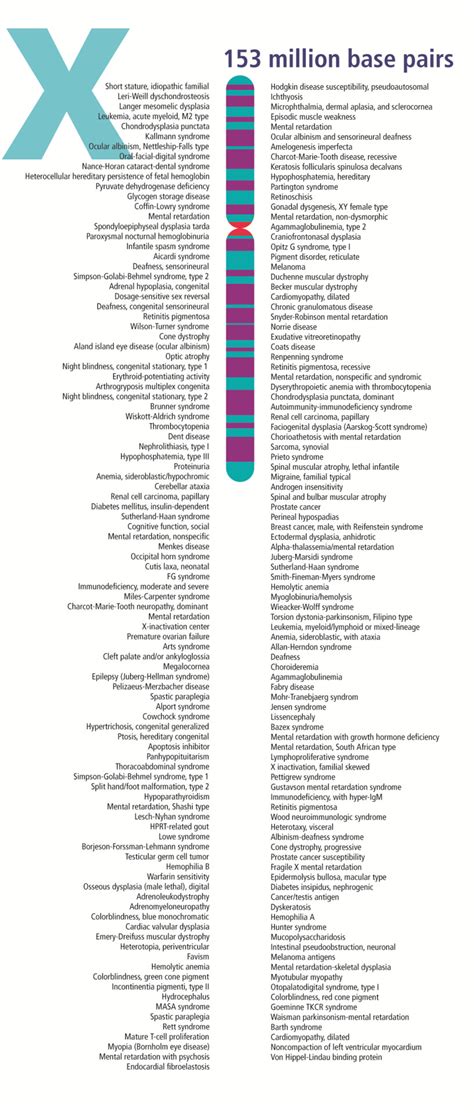 How Are Changes in the X Chromosome Related to Health Conditions? - StoryMD