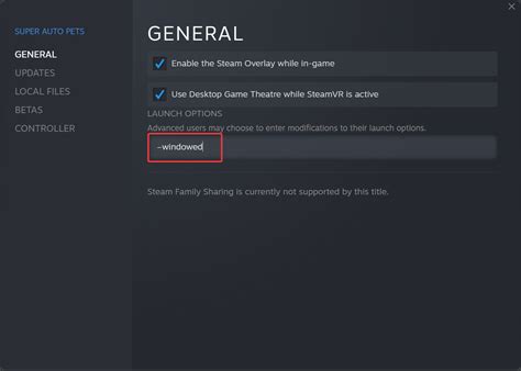 Steam Launch Options Windowed: 3 Easy Ways to Run This Option