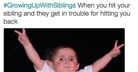 Sibling Memes For The Annoyed And Appreciative | Sibling memes, Funny sister memes, Funny mom memes