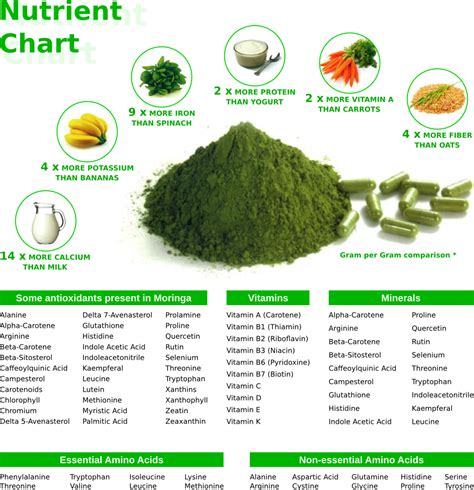 The Side Effects of Moringa You Must Know Before it's too Late » Loversify