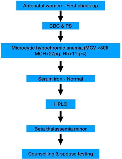 Cureus | Screening for Beta Thalassemia Carrier State Among Women ...