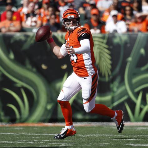 Chiefs vs. Bengals: Score and Twitter Reaction from 2015 Regular Season ...