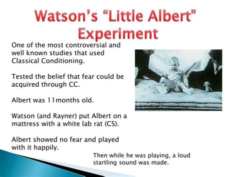 PPT - Watson’s “Little Albert” Experiment PowerPoint Presentation - ID ...