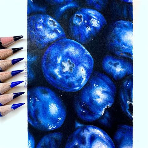 Blueberry Drawing | Colorful drawings, Fruit art drawings, Prismacolor art