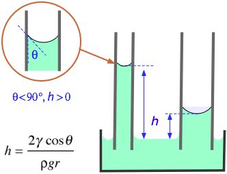 How would you calculate the surface tension of a 2% (w/v) solution of a wetting agent that has a ...