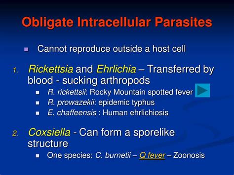 PPT - The Diversity of Prokaryotic Organisms PowerPoint Presentation, free download - ID:462780