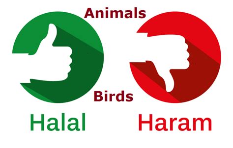 List of Permitted Halal Prohibited Haram Animals Birds