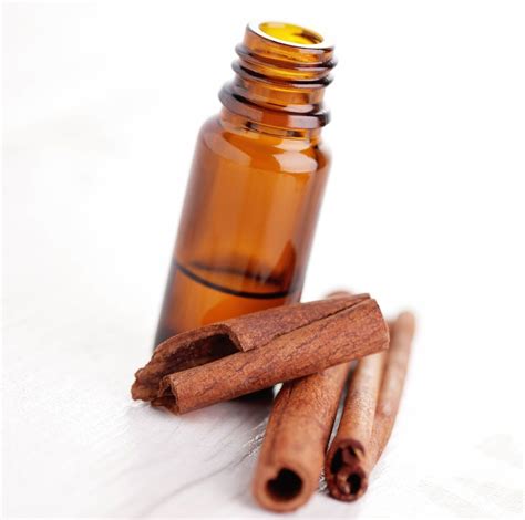 100% Cinnamon Leaf Oil, Rs 1300 /kilogram Bo International | ID: 16240374288