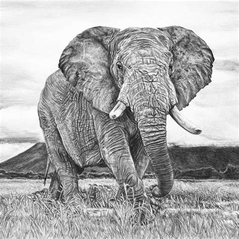 'Lord Of The Plains' Drawn by me 2015, a magnificent African bull elephant #drawingskills # ...