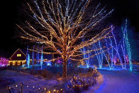 Vote - Gardens Aglow - Best Botanical Garden Holiday Lights Nominee: 2019 10Best Readers' Choice ...