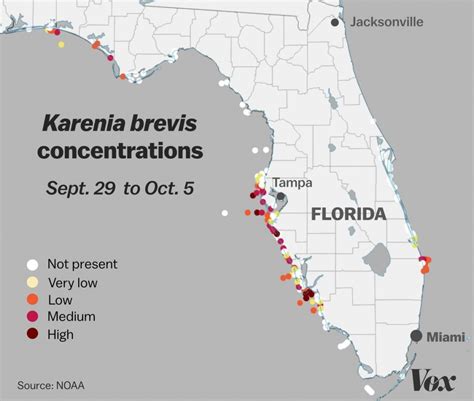 Current Florida Algae Bloom Map 2024 - Sabra Lenora