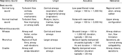 Lung sounds and what they mean