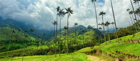 Colombia Travel Guide & Expert Tips | Enchanting Travels