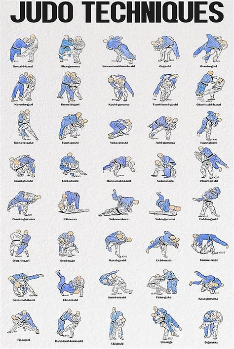 Judo Techniques Poster Poster cute Painting by Clark Cameron - Fine Art ...