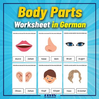 German Body Parts Worksheet. Printable posters for kids in Prek & kinder.