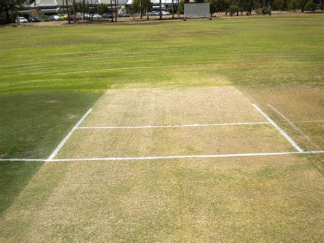 Basics of the Cricket Pitch