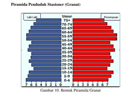 Piramida Stasioner Pengertian Dan Contoh Negaranya | The Best Porn Website