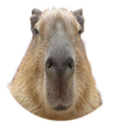 capybara - Roblox