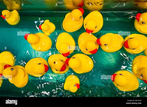 yellow rubber ducks Stock Photo - Alamy