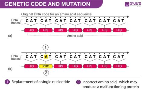 Genetic Code And Mutation - An Overview