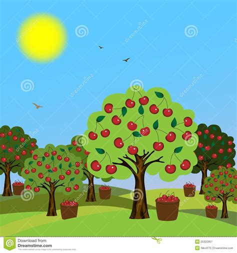 Orchard clipart - Clipground